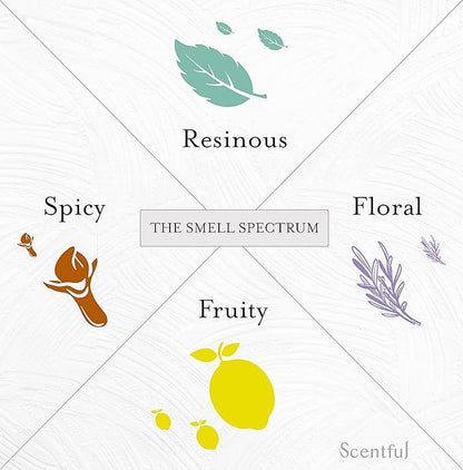 Smell Training Kit for Loss of Smell, Smell Retraining Therapy, Restore Sense of Smell and Taste, Made in the USA with Organic Essential Oils