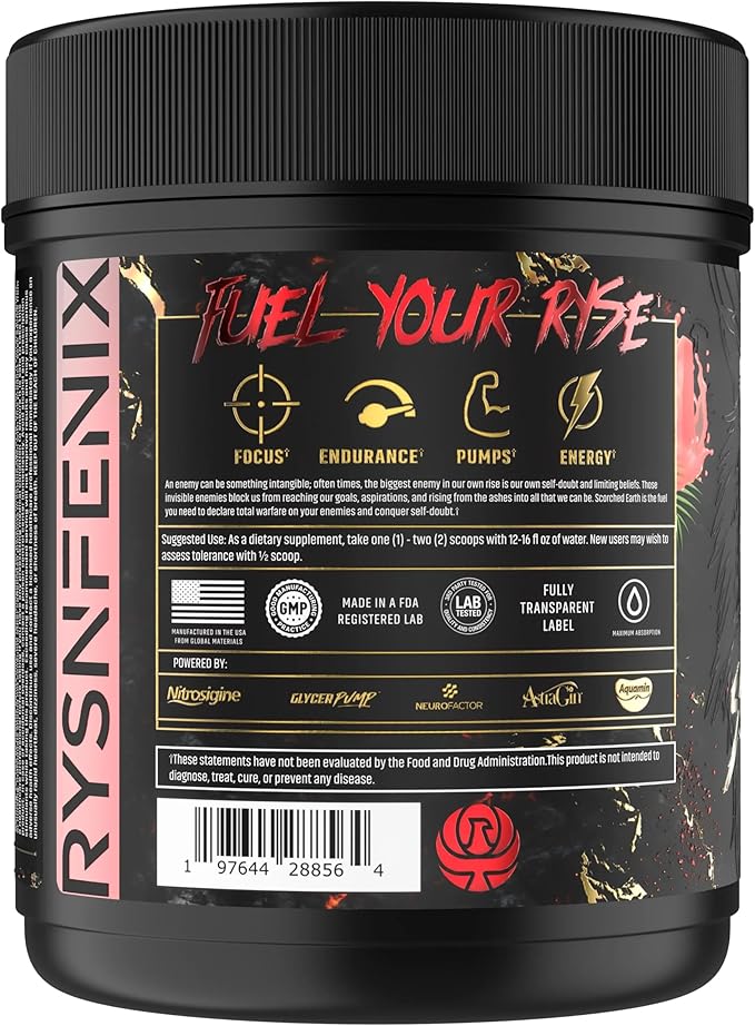 Scorched Earth Pre Workout Powder - Energy & Focus with Dual-Source Caffeine, Nootropics | Pumps from Citrulline, Beta Alanine, Nitrosigine®, GlycerPump™ (Tiger's Blood)