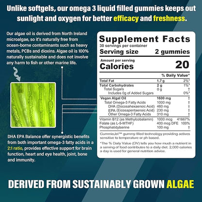 Vegan Omega 3 Gummies 1000mg w/MethylFolate, Vitamin B12, Plant Based DHA 460mg & EPA 230mg for Brain, Joint, Eye & Immunity, Sugar Free Fish Oil Omega 3 Supplements Alternative for Adults, 60 Cts
