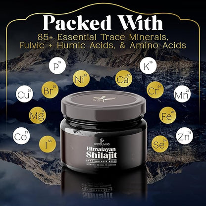 Shilajit Resin – Pure Himalayan Shilajit for Energy, Strength & Immune Support - 85+ Minerals, 75% Fulvic Acid - High Potency, Lab-Tested Pure Shilajit Supplement for Men & Women (30g)