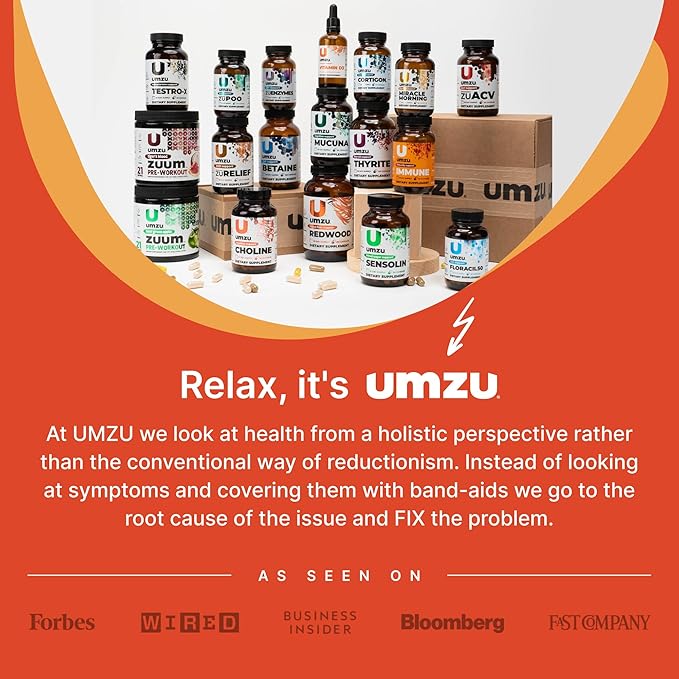 UMZU Ashwagandha Advanced Stress & Cortisol Support Supplement, Memory, Focus, Cognition, 24-Hour Extended Release (30 Day Supply | 30 Capsules)