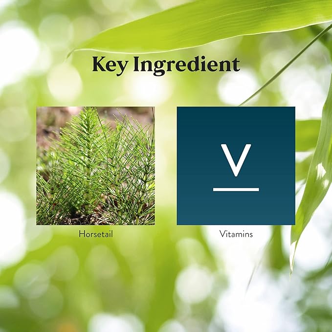 Nature's Sunshine Skeletal Strength, 150 Tablets | Bone Health Supplements for Women and Men with Calcium, Magnesium, Iron, Manganese, and Vitamin D, C, A, and B