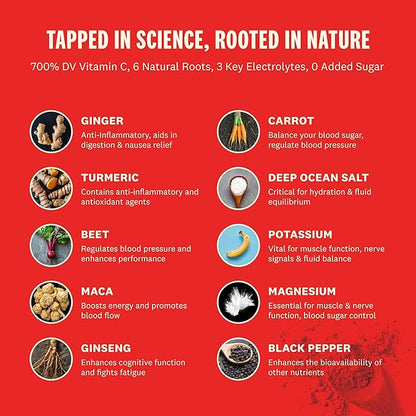 SUPEROOT® Travel Pack Natural Electrolytes Powder with Ginger, Turmeric, and Maca Root, Sugar & Caffeine Free Drink Mix, Clean Hydration, Energy, Detox & Immune Boost, 12 Count (Ginger Citrus)