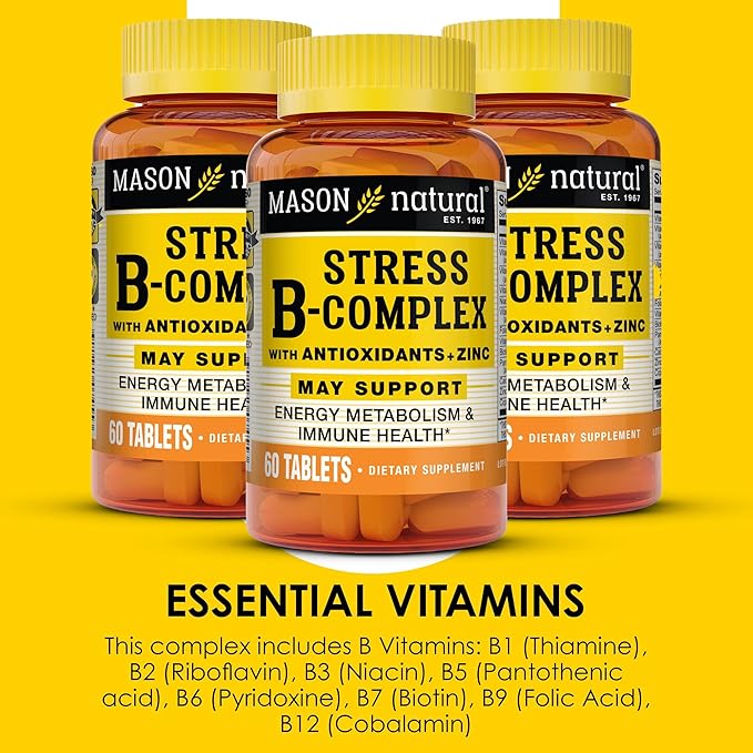 MASON NATURAL Stress B-Complex with Antioxidants + Zinc, 6 Month Supply, Dual Action Formula, Supports Energy Metabolism & Immune Health, 3 Pack