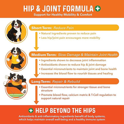 Bernie's Healthy HIPS - Daily Dog Hip and Joint Supplement - 90 Soft Chews - Reduce Pain, Encourage Mobility, Slow Damage, Repair and Rebuild HIPS and Joint Tissues