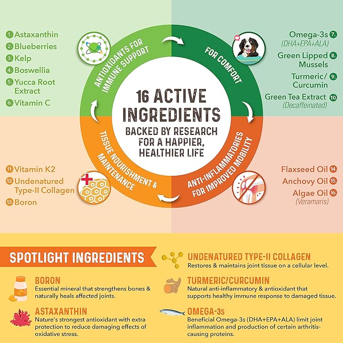 Bernie's Healthy HIPS - Daily Dog Hip and Joint Supplement - 90 Soft Chews - Reduce Pain, Encourage Mobility, Slow Damage, Repair and Rebuild HIPS and Joint Tissues