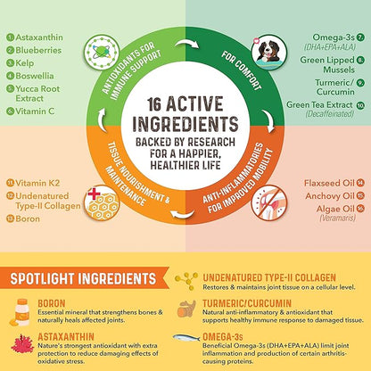 Bernie's Healthy HIPS - Daily Dog Hip and Joint Supplement - 90 Soft Chews - Reduce Pain, Encourage Mobility, Slow Damage, Repair and Rebuild HIPS and Joint Tissues