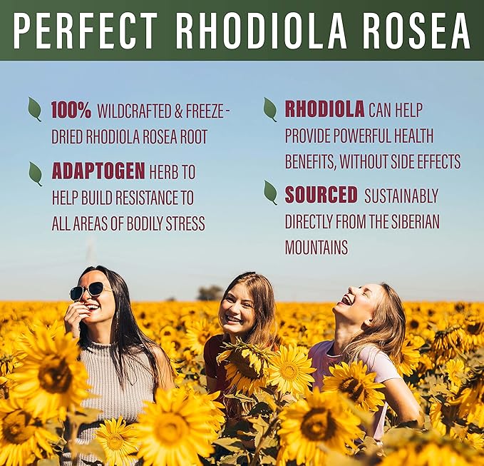 Perfect Supplements – Perfect Rhodiola Rosea – 60 Capsules – Natural Adaptogen Supplement – Increases Energy – Better Focus – 3 Pack