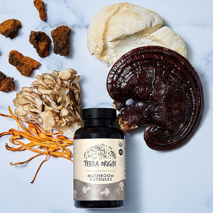 TERRA ORIGIN Healthy Mushroom Capsules | Certified USDA Organic | 90 Veggie Caps | Reishi Mushroom, Lions Mane | Potent Immune Support & Nootropic Brain Supplement |