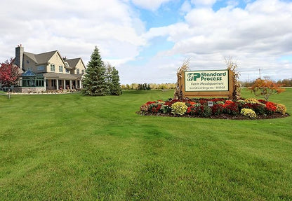 Standard Process Catalyn Chewable - Foundational Support for General Wellbeing with Vitamin D, Vitamin C, Vitamin A, Thiamine, Riboflavin, Vitamin B6, Magnesium Citrate, and More - 90 Tablets