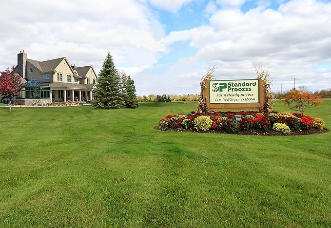 Standard Process Cataplex A-C-P Heart Health, Gum Health, Immune Support, and Vascular Supplement with Vitamin C, Magnesium Citrate, Nutritional Yeast, Vitamin A, Reishi Mushroom Powder - 180 Tablets