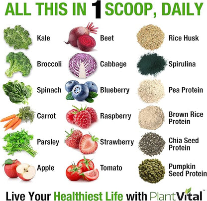 Plantvital Unflavored Organic Vegan Protein Powder - 18 Superfoods, Veggies and Probiotics - Organic Plant-Based Protein Powder - All BCAA’s, Gluten Free - 16oz (Pack of 2)