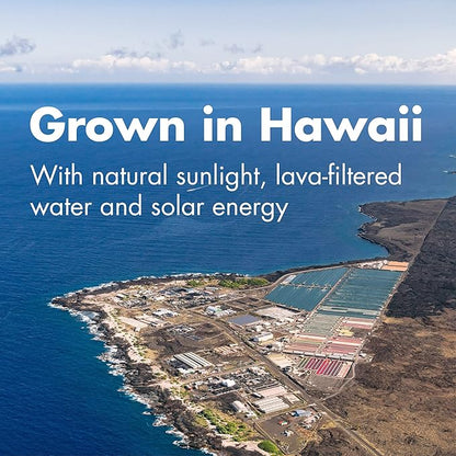 Nutrex Hawaii, Pure Hawaiian Spirulina 500 mg, Vegan, Supports Immune System, Heart, Cells and Energy, 200 Tablets