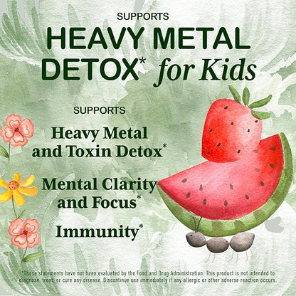 Heavy Metal Detox for Kids and Adults | Natural Zeolite Detox | Methyl Vitamin B12, C and D3 for added Energy, Immune, and Focus | 2 oz liquid drops (60 Servings) | No Preservatives, Vegan, Non-GMO