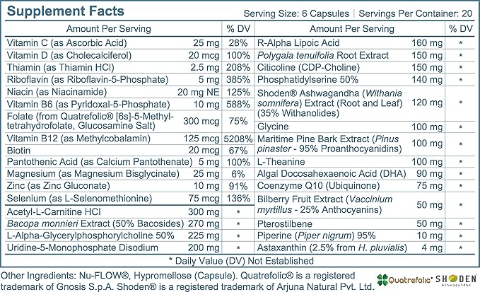 Most Comprehensive Nootropic Brain Supplement | 31 Ingredients Support 27 Areas of Cognitive Function and Brain Health in 7 Categories | Caffeine- and Stearate-Free (120 Capsules)