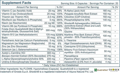 Most Comprehensive Nootropic Brain Supplement | 31 Ingredients Support 27 Areas of Cognitive Function and Brain Health in 7 Categories | Caffeine- and Stearate-Free (120 Capsules)