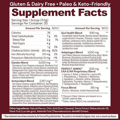 BodyHealth Perfect Reds (30 SVG) Superfood Berry Powder Antioxidant Drink, Fruit Powder Mix for Smoothies with Fruit, Vegetables, Superfoods, Phytonutrients, Fiber, and PerfectAmino Protein