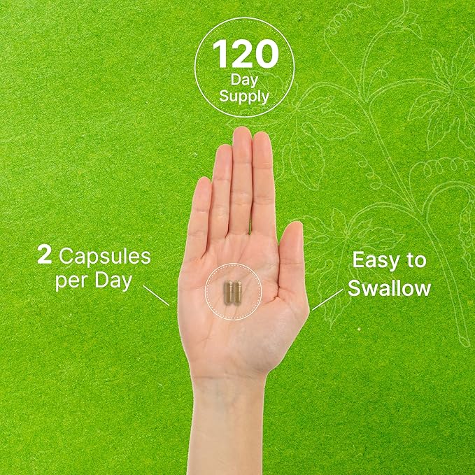 DEAL SUPPLEMENT Ginkgo Biloba 500mg Per Serving, 240 Capsules, 4 Month Supply – Grown in Northern Asia – Extra Strength, Promotes Brain Function