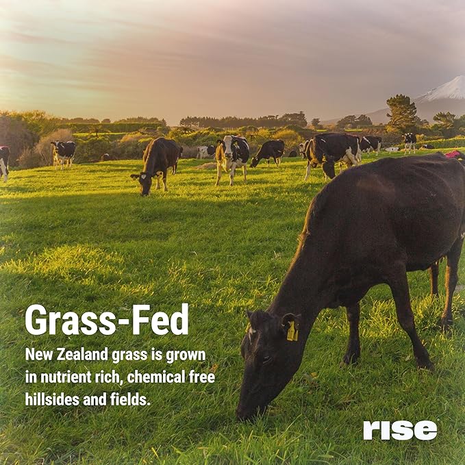 Rise Grass-Fed Whey Protein Powder - Mint Chocolate | 25g Protein No Artificial Flavors, Colors, or Preservatives - Sugar Free, Gluten-Free, Soy Free (2.4 lbs)