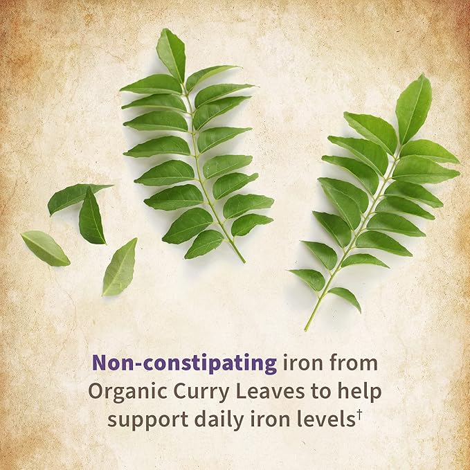 Garden of Life Organics Prenatal Vitamin: Folate for Energy & Healthy Fetal Development, Non-constipating Iron, Vitamin C, B6, B12, D3 – Organic, Non-GMO, Gluten-Free, Vegan, 30 Day Supply