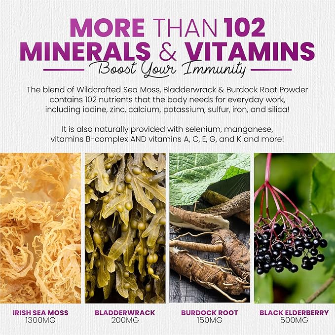 Sakoon nutrition Irish Sea Moss Gummies w/Elderberry & Black Seed Oil - Beauty, Joints & Immune Support | Rich in Vitamins, Raspberry Flavor | 60 Gummies