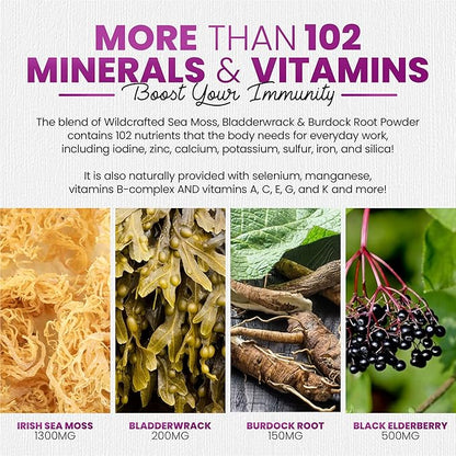 Sakoon nutrition Irish Sea Moss Gummies w/Elderberry & Black Seed Oil - Beauty, Joints & Immune Support | Rich in Vitamins, Raspberry Flavor | 60 Gummies