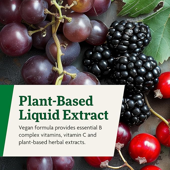 Floradix Floravital Liquid Iron & Vitamins Formula - Liquid Iron Supplement with B Complex Vitamins, Vitamin C & Herbs for Energy Support - Vegan, Gluten-Free, Yeast- Free, Non-GMO - 17 oz