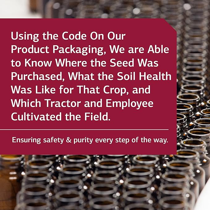 Standard Process Cardio-Plus GF (Gluten Free) - Supports Heart Health and Blood Flow from Vitamin C, Vitamin E, Riboflavin, Niacin, Vitamin B6, Choline, Selenium, and More - 330 Tablets