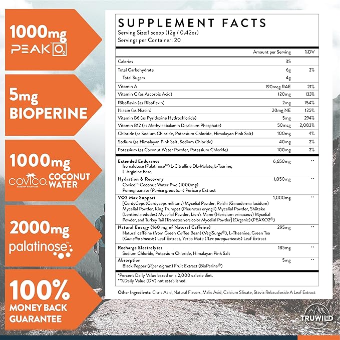 TruWild Motion All Natural Pre Workout Powder Drink Mix for Men & Women w/No Jitters or Crash – Whole Food Plant Based Vegan – Organic w/Electrolytes + BioPerine – 20 Servings (Pineapple Mango)