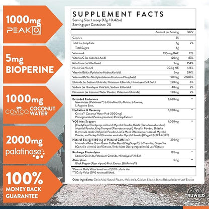 TruWild Motion All Natural Pre Workout Powder Drink Mix for Men & Women w/No Jitters or Crash – Whole Food Plant Based Vegan – Organic w/Electrolytes + BioPerine – 20 Servings (Pineapple Mango)