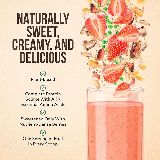 Only 4 Ingredients - No Stevia, No Monk Fruit, No Artificial Sweeteners - Strawberry Peanut Butter Protein Powder, All Natural, Sweetened with Berries (20g of Protein, 20 Servings)