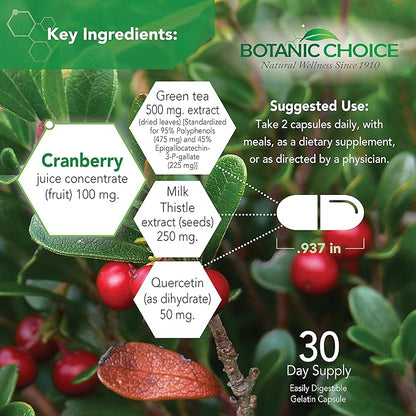 Botanic Choice Ultra Kidney Complex Capsules, 60-Count Bottle