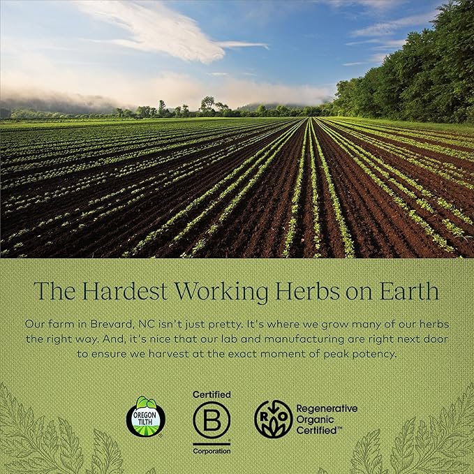 Gaia Herbs Male Libido - Herbal Supplement with Saw Palmetto, Horny Goat Weed, Maca & Oats - Supports Stamina, Vitality & Hormone Balance for Men - 120 Vegan Liquid Phyto-Capsules (30-Day Supply)