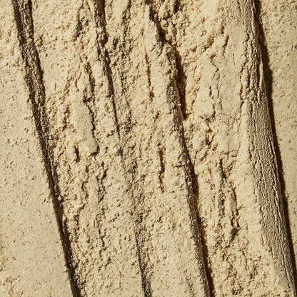 INBLOOM Plant Based Protein Powder - Green Protein with Six-Source Plant Protein Blend - Vanilla Bean Flavor - 14 servings