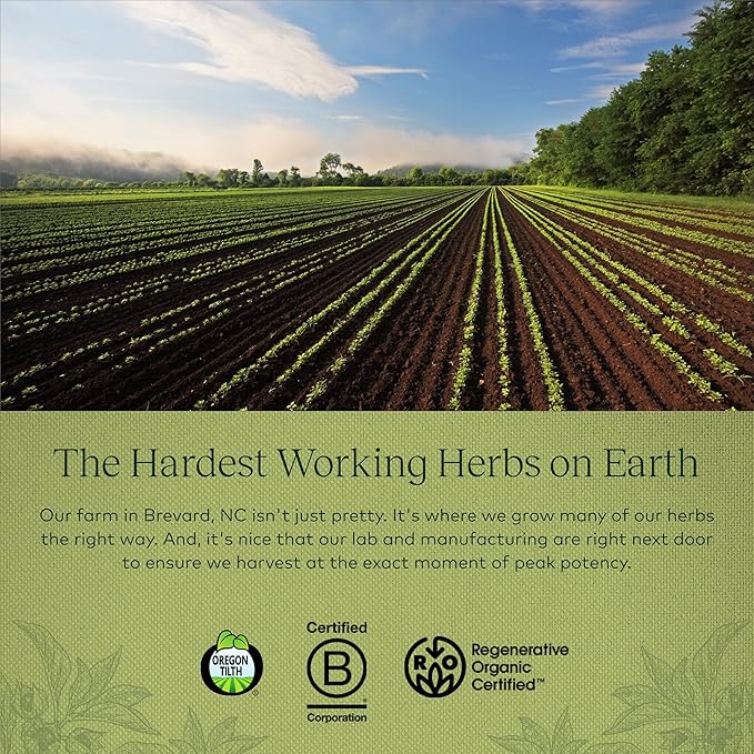 Gaia Herbs Thyroid Support - Made with Ashwagandha, Kelp, Brown Seaweed, and Schisandra to Support Healthy Metabolic Balance and Overall Well-Being - 60 Vegan Liquid Phyto-Capsules (20-Day Supply)